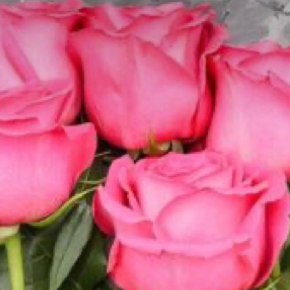 Meet your Posher, Claudia